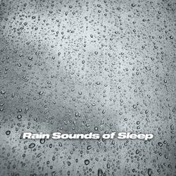 Steady Forest Rain