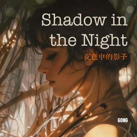 Shadow in the Night 夜色中的影子