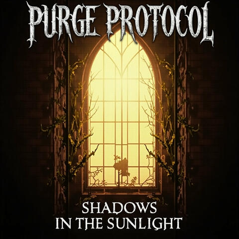 Shadows in the Sunlight