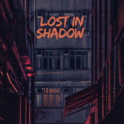 Lost in Shadow