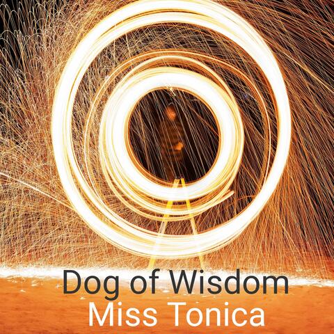 Dog of Wisdom