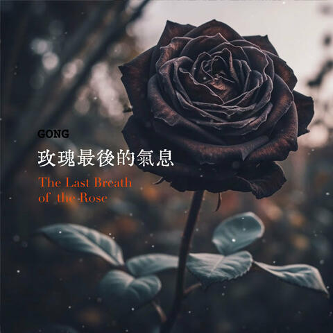 玫瑰最後的氣息 The Last Breath of the Rose