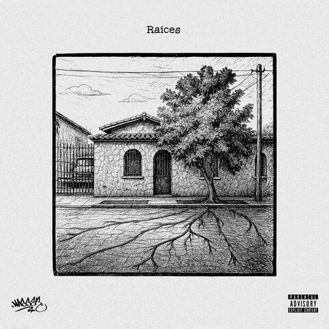 Raíces