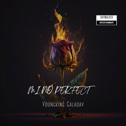 Mi No Perfect