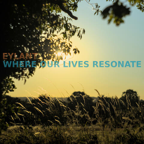 Where Our Lives Resonate