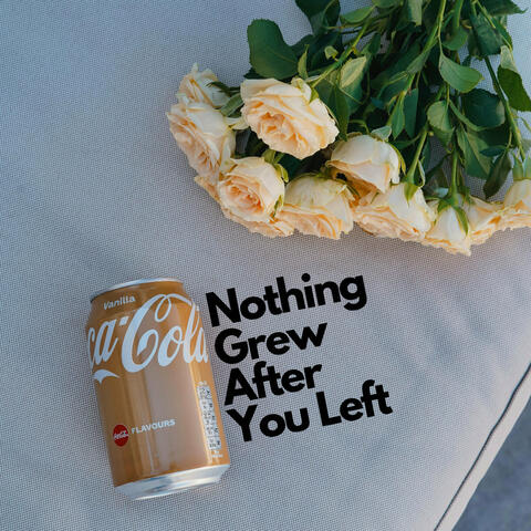 Nothing Grew After You Left
