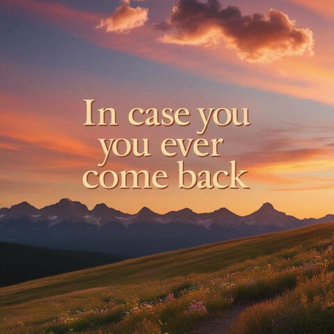 In Case You Ever Come Back