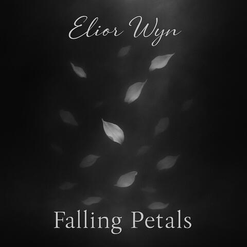 Falling Petals