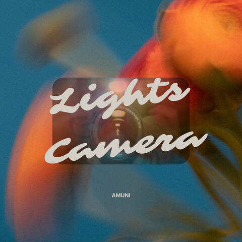 Lights Camera