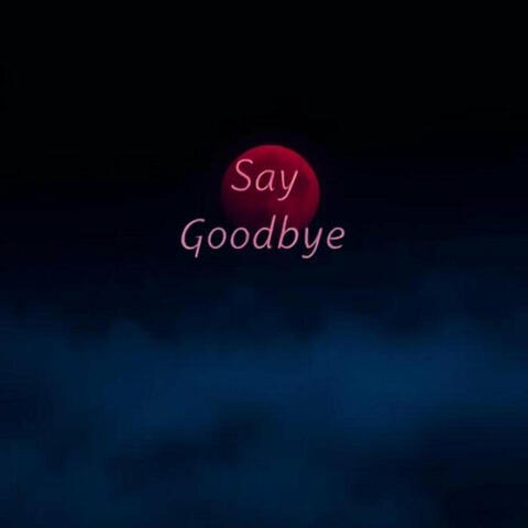 Say Goodbye