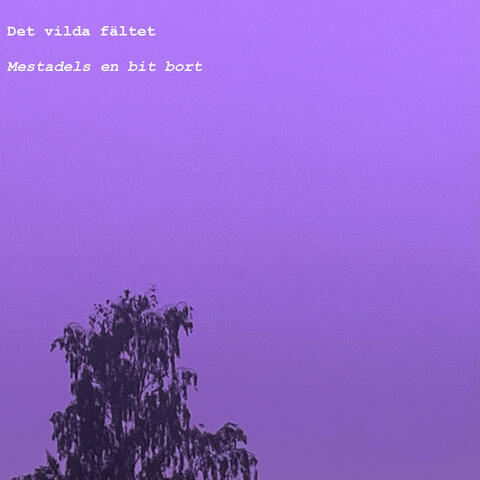 Mestadels en bit bort