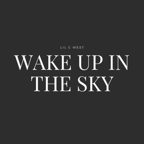 Wake Up In The Sky