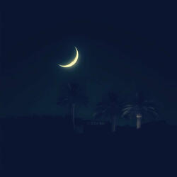 Island Whispers in the Dark