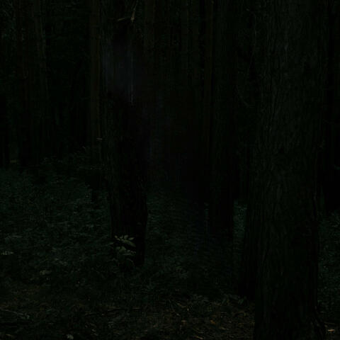 Stillness