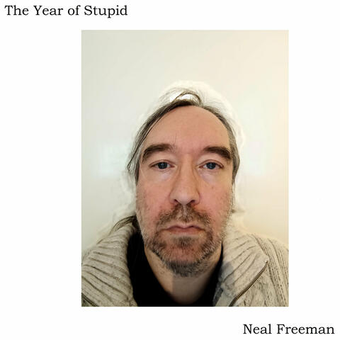 The Year of Stupid (2025 Remixes)