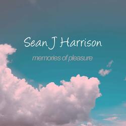 Memories of Pleasure