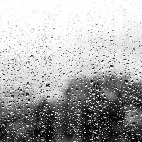 Echoes in the Rain