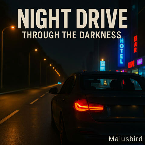 Night Drive: Through the Darkness