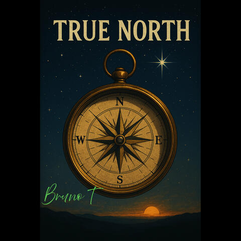 True North