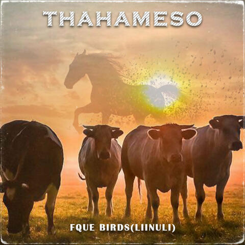 Thahameso