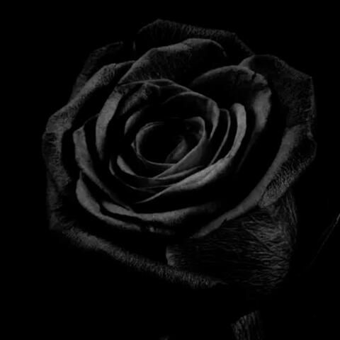 Onyx