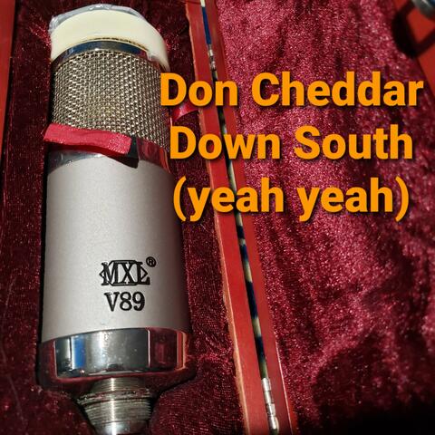 Down South (Yeah Yeah)