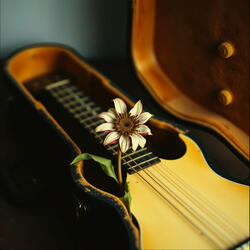 Hard to Say I'm Sorry