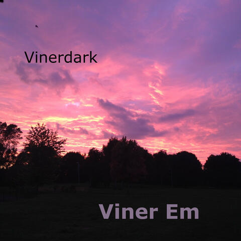 Vinerdark