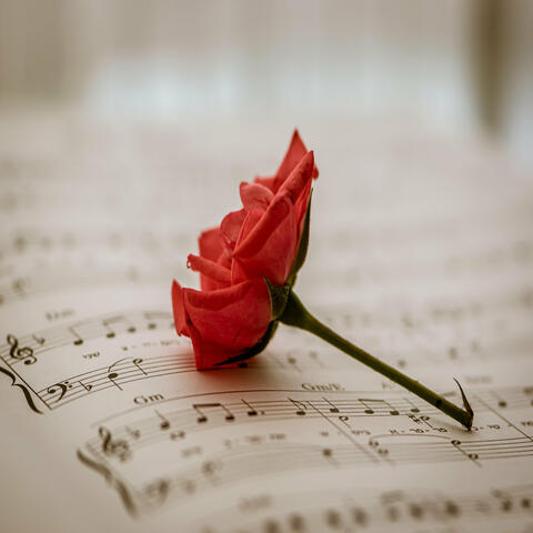 My Only Place