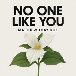 No One Like You
