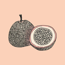 Passionfruit