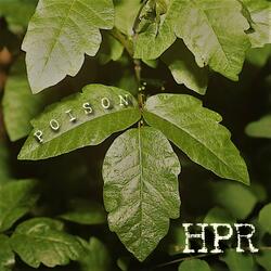 Poison