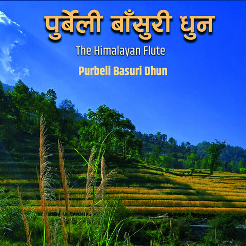 The Himalayan Flute Music || Morning Flute Music || Bishram Relaxing Episode 16
