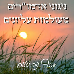 המלאך הגואל אותי - מודז'יץ