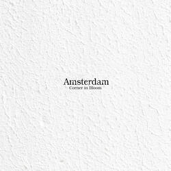 Amsterdam (Walking)
