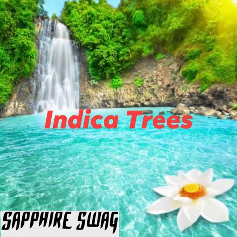 Indica Trees