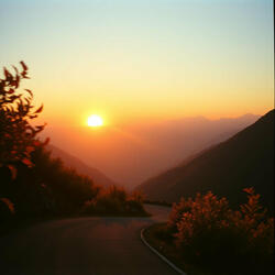 Uplift Your Life