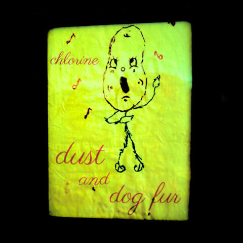 Dust and Dog Fur