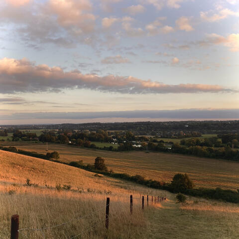 The Old Hill