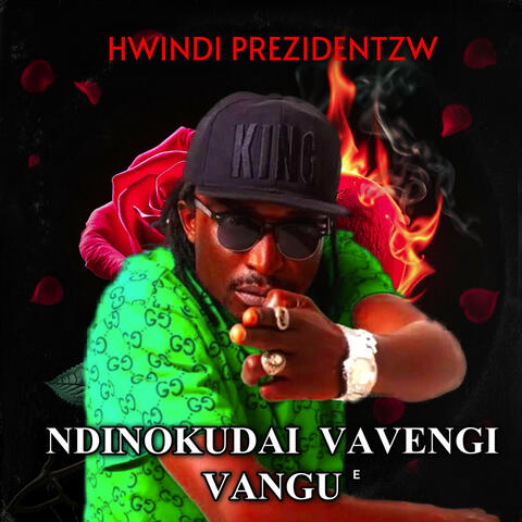 Ndinokudai Vavengi Vangu