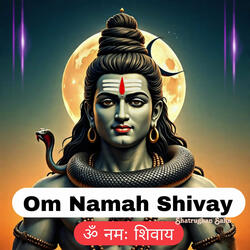 Om Namah Shivay