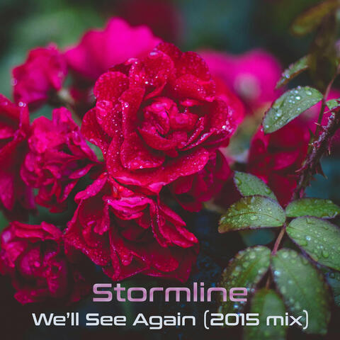 We'll See Again (2015 Mix)