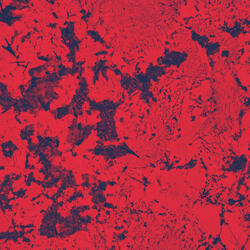 Translucid