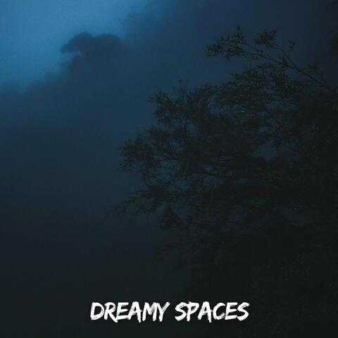 Dreamy Spaces