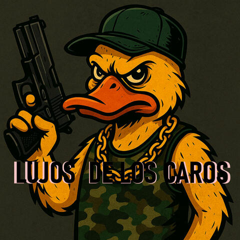 LUJOS DE LOS CAROS