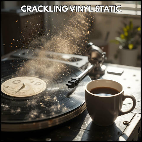 Crackling Vinyl Static