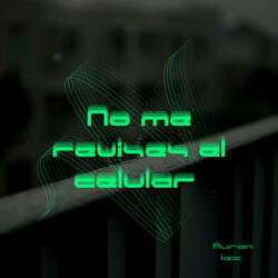 No Me Revise el Celular