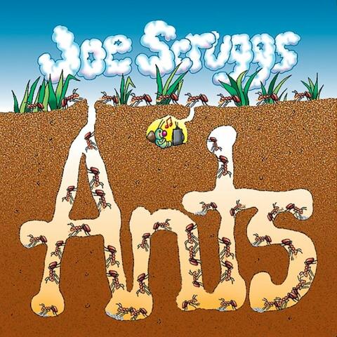 Ants