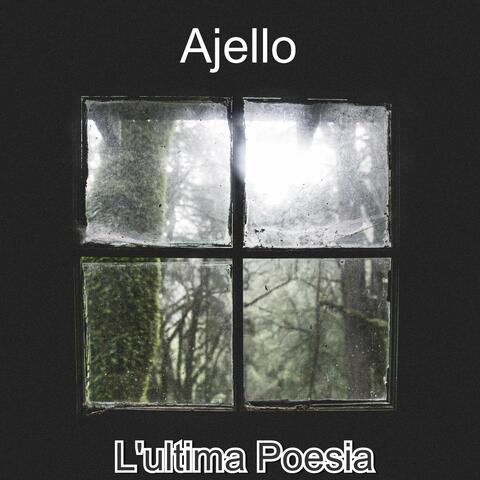 L'ultima poesia