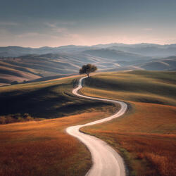 Winding Road to Freedom